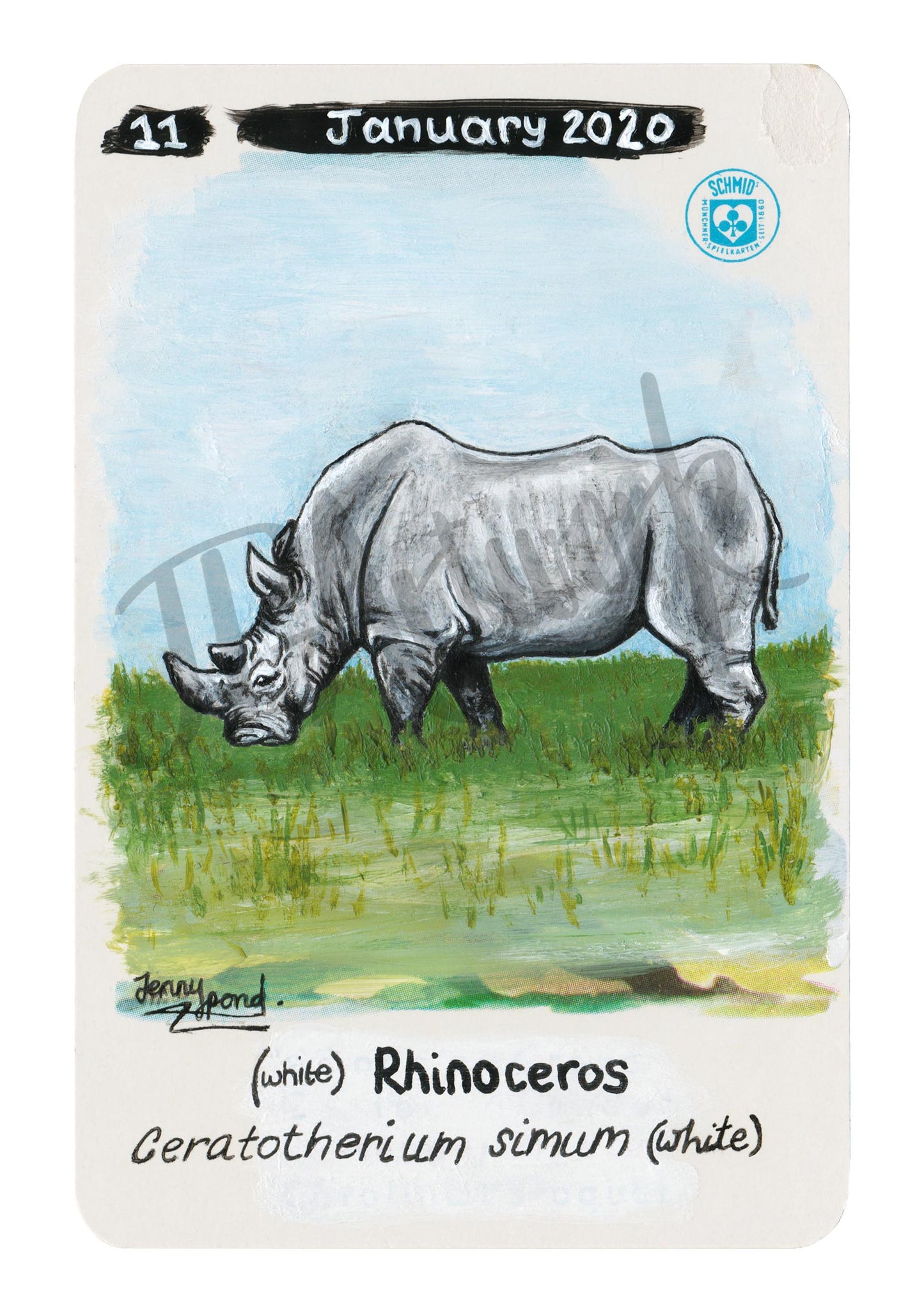 White Rhino Limited Edition A5 Hemp Paper Print by Jenny Pond, JPArtwork